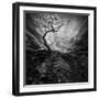 Dramatic Sky over Old Lonely Tree-NejroN Photo-Framed Photographic Print