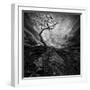 Dramatic Sky over Old Lonely Tree-NejroN Photo-Framed Photographic Print