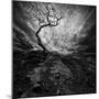 Dramatic Sky over Old Lonely Tree-NejroN Photo-Mounted Photographic Print