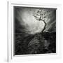 Dramatic Sky Over Old Lonely Tree-NejroN Photo-Framed Art Print