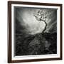 Dramatic Sky Over Old Lonely Tree-NejroN Photo-Framed Art Print