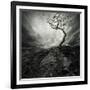 Dramatic Sky Over Old Lonely Tree-NejroN Photo-Framed Art Print