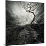 Dramatic Sky Over Old Lonely Tree-NejroN Photo-Mounted Art Print