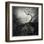 Dramatic Sky Over Old Lonely Tree-NejroN Photo-Framed Art Print