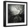 Dramatic Sky Over Old Lonely Tree-NejroN Photo-Framed Art Print