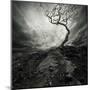 Dramatic Sky Over Old Lonely Tree-NejroN Photo-Mounted Art Print