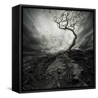 Dramatic Sky Over Old Lonely Tree-NejroN Photo-Framed Stretched Canvas