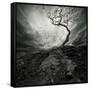 Dramatic Sky Over Old Lonely Tree-NejroN Photo-Framed Stretched Canvas