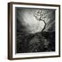 Dramatic Sky Over Old Lonely Tree-NejroN Photo-Framed Art Print