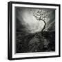 Dramatic Sky Over Old Lonely Tree-NejroN Photo-Framed Art Print