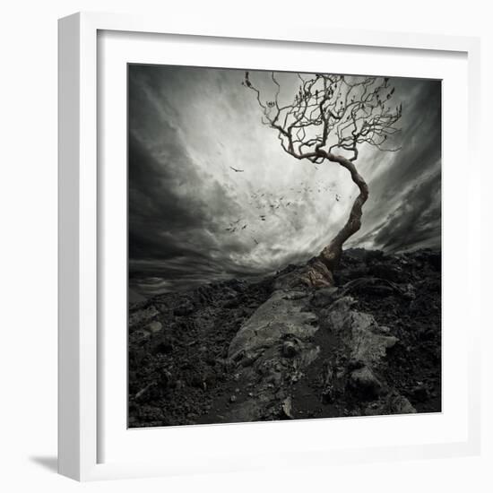 Dramatic Sky Over Old Lonely Tree-NejroN Photo-Framed Art Print