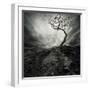 Dramatic Sky Over Old Lonely Tree-NejroN Photo-Framed Art Print