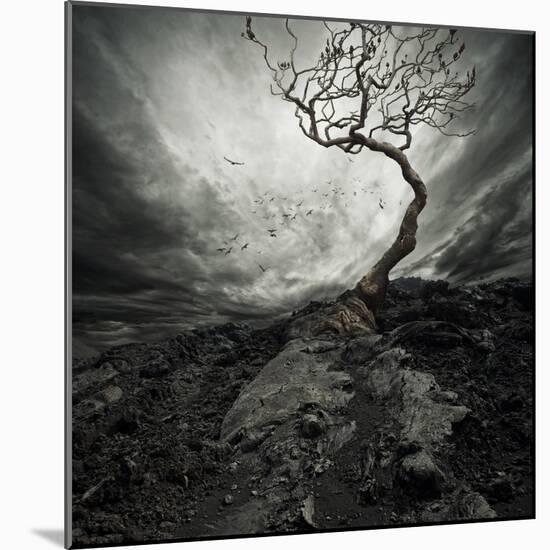 Dramatic Sky Over Old Lonely Tree-NejroN Photo-Mounted Art Print
