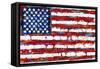 Dramatic Stars & Stripes-null-Framed Stretched Canvas