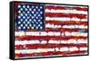 Dramatic Stars & Stripes-null-Framed Stretched Canvas