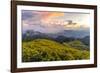 Dramatic sunset and fields of yellow Mexican sunflowers in bloom across hillsides-Kimberley Anderson-Framed Photographic Print