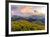 Dramatic sunset and fields of yellow Mexican sunflowers in bloom across hillsides-Kimberley Anderson-Framed Photographic Print