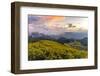 Dramatic sunset and fields of yellow Mexican sunflowers in bloom across hillsides-Kimberley Anderson-Framed Photographic Print