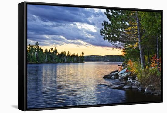 Dramatic Sunset and Pines at Lake of Two Rivers in Algonquin Park, Ontario, Canada-elenathewise-Framed Stretched Canvas