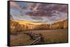 Dramatic Sunset Light on Aspen Grove at Owl Creek Pass in the Uncompahgre National Forest, Colorado-Chuck Haney-Framed Stretched Canvas