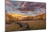 Dramatic Sunset Light on Aspen Grove at Owl Creek Pass in the Uncompahgre National Forest, Colorado-Chuck Haney-Mounted Photographic Print