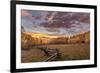 Dramatic Sunset Light on Aspen Grove at Owl Creek Pass in the Uncompahgre National Forest, Colorado-Chuck Haney-Framed Photographic Print