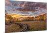 Dramatic Sunset Light on Aspen Grove at Owl Creek Pass in the Uncompahgre National Forest, Colorado-Chuck Haney-Mounted Photographic Print