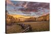 Dramatic Sunset Light on Aspen Grove at Owl Creek Pass in the Uncompahgre National Forest, Colorado-Chuck Haney-Stretched Canvas