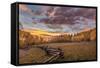 Dramatic Sunset Light on Aspen Grove at Owl Creek Pass in the Uncompahgre National Forest, Colorado-Chuck Haney-Framed Stretched Canvas