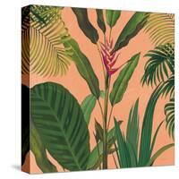 Dramatic Tropical II Boho-Sue Schlabach-Stretched Canvas