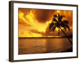 Dramatic Tropical Sunrise on the Garden Isle, Kauai, Hawaii, USA-Jerry Ginsberg-Framed Photographic Print