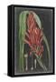 Dramatic Tropicals II-Vision Studio-Framed Stretched Canvas