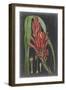 Dramatic Tropicals II-Vision Studio-Framed Art Print