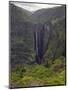 Dramatic Waterfall Near Sankaber, the Ethiopian Highlands, Ethiopia-Gavin Hellier-Mounted Photographic Print