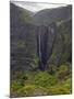 Dramatic Waterfall Near Sankaber, the Ethiopian Highlands, Ethiopia-Gavin Hellier-Mounted Photographic Print