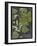 Dramatic Weinmann Greenery III-Vision Studio-Framed Art Print