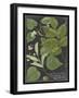 Dramatic Weinmann Greenery III-Vision Studio-Framed Art Print