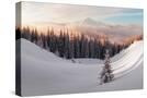 Stretched Canvas