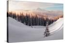 Stretched Canvas