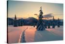 Stretched Canvas