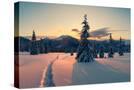 Stretched Canvas