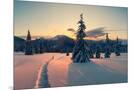 Wood Mount