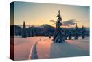Stretched Canvas