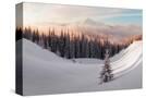 Stretched Canvas