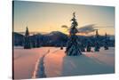 Stretched Canvas