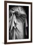 Draped Study-Irene Suchocki-Framed Giclee Print