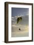 Draper, Utah. Tandem double para-glider jumpers-Jolly Sienda-Framed Photographic Print