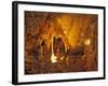 Drapery Room, Mammoth Cave National Park, Kentucky, USA-Adam Jones-Framed Photographic Print