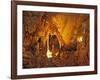 Drapery Room, Mammoth Cave National Park, Kentucky, USA-Adam Jones-Framed Photographic Print