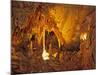 Drapery Room, Mammoth Cave National Park, Kentucky, USA-Adam Jones-Mounted Photographic Print